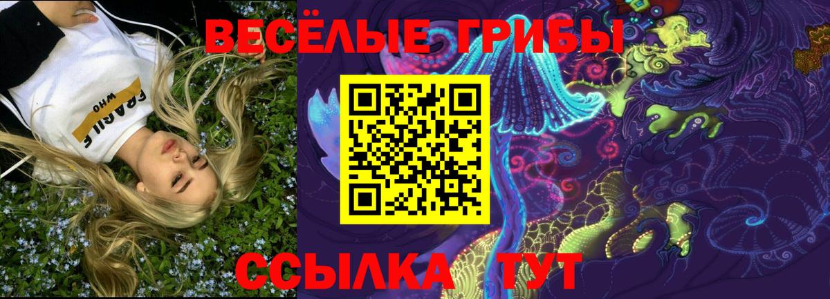 Псилоцибиновые грибы Psilocybe Баксан
