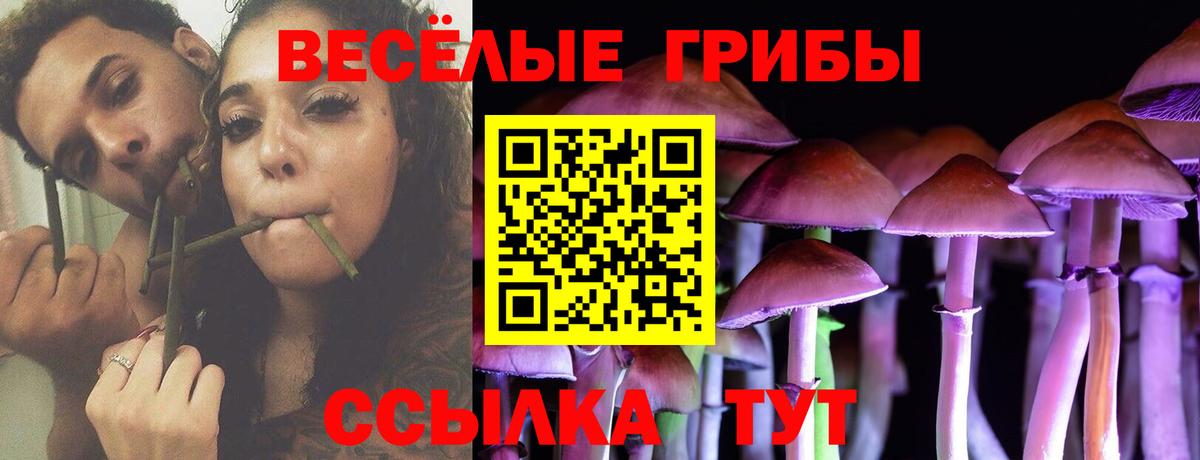 Баксан  Псилоцибиновые грибы ЛСД  Вход с VPN 